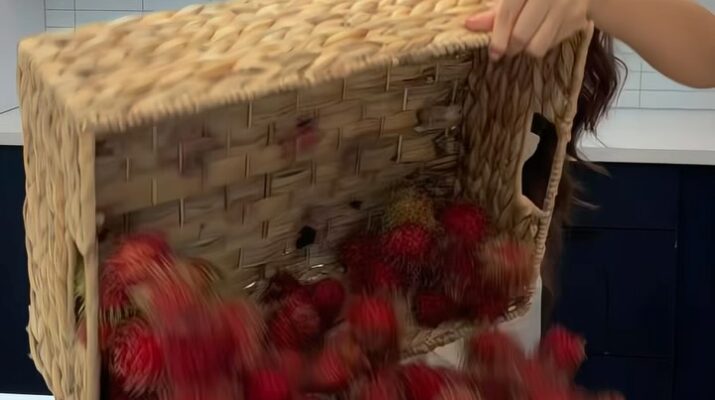 Viral Perempuan Manfaatkan Kulit Rambutan Jadi Pewarna Rambut Alami, Hasilnya Curi Perhatian